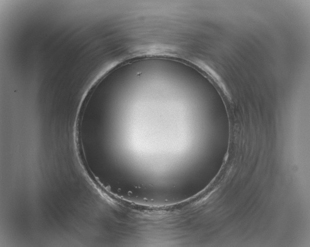 X0000069791285200606021403