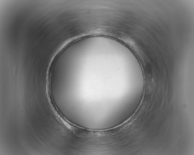 X0000069791286200606021403