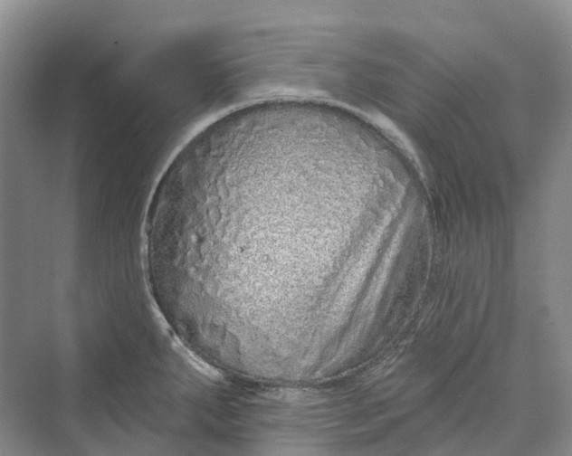 X0000069791287200606021403