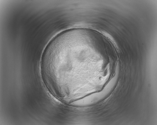 X0000069791288200606021403