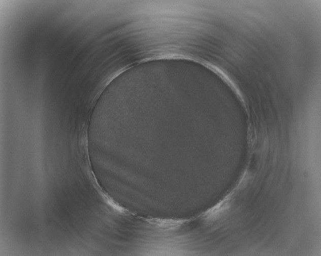 X0000069791289200606021403