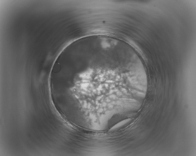 X0000069791291200606021403