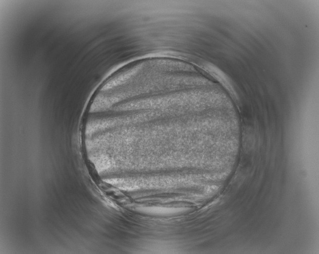 X0000069791292200606021403