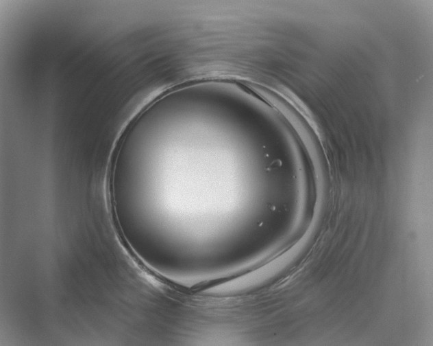 X0000069791293200606021403