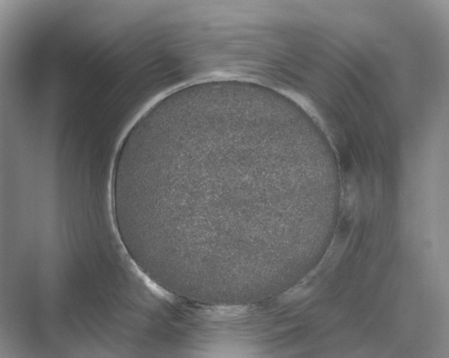 X0000069791294200606021403