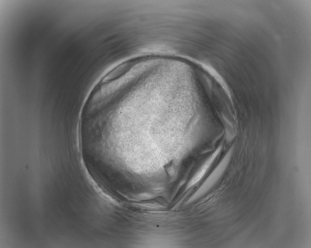 X0000069791295200606021403