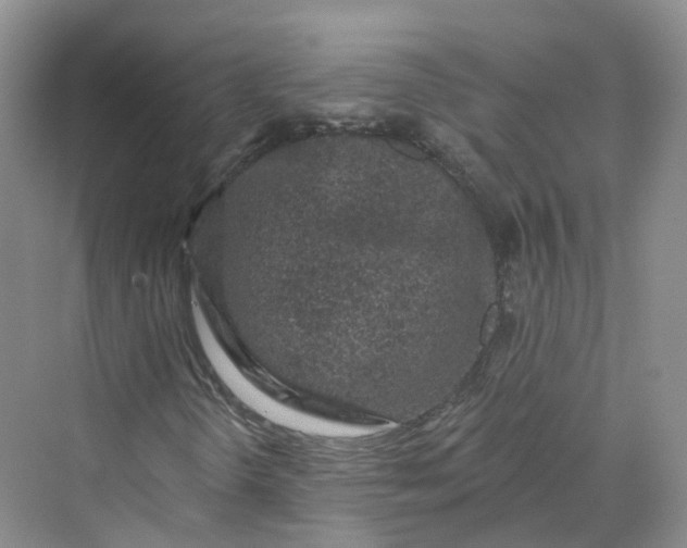 X0000069791298200606021402