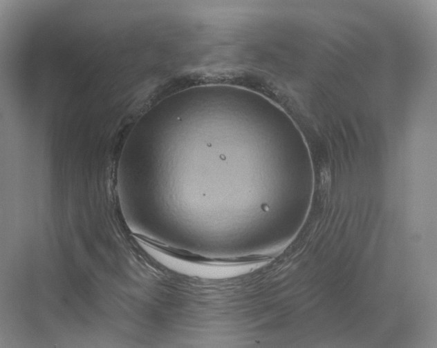 X0000069791300200606021402