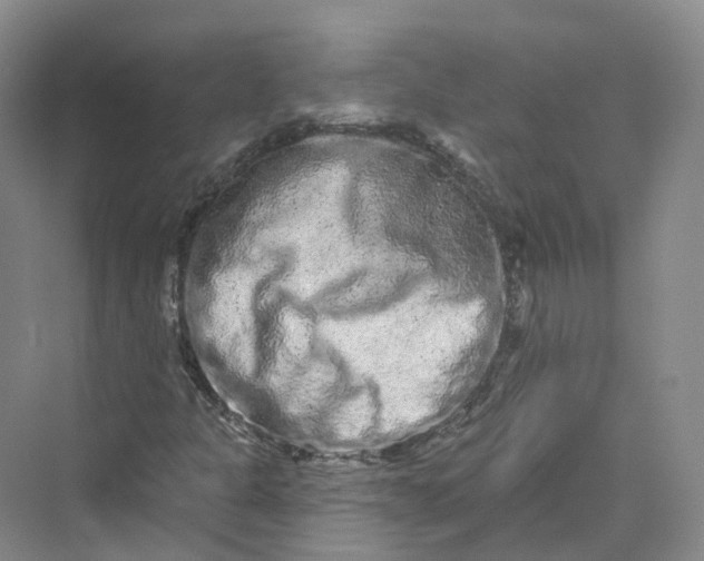 X0000069791301200606021402