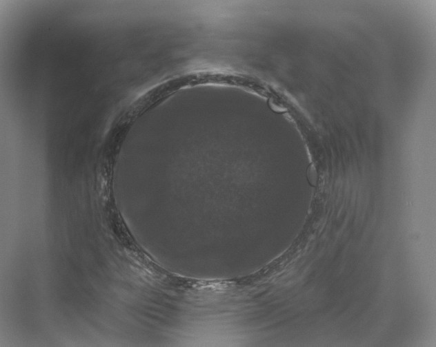 X0000069791303200606021403