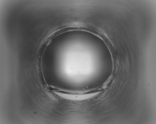 X0000069791304200606021403