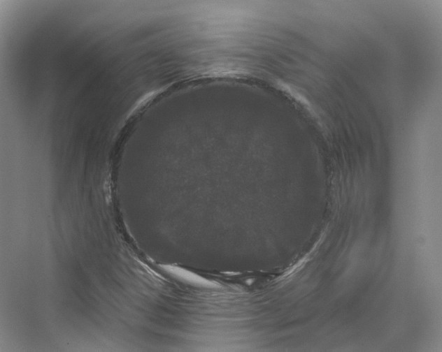 X0000069791306200606021403