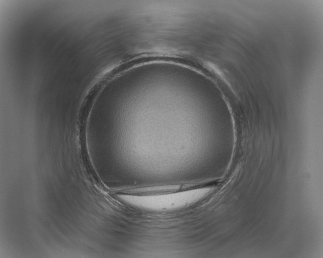 X0000069791307200606021403