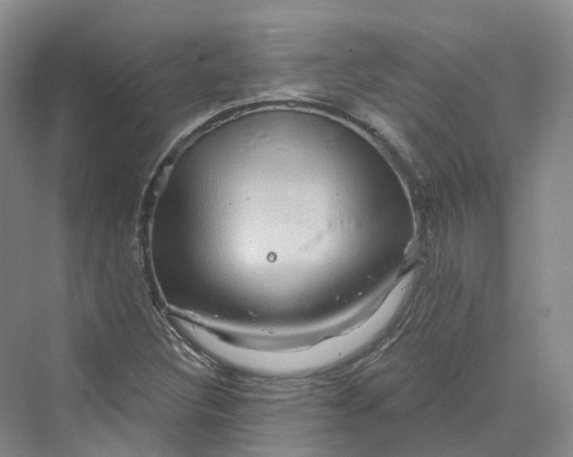 X0000069791308200606021403