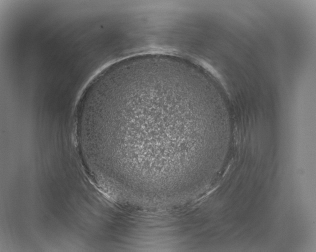 X0000069791310200606021403