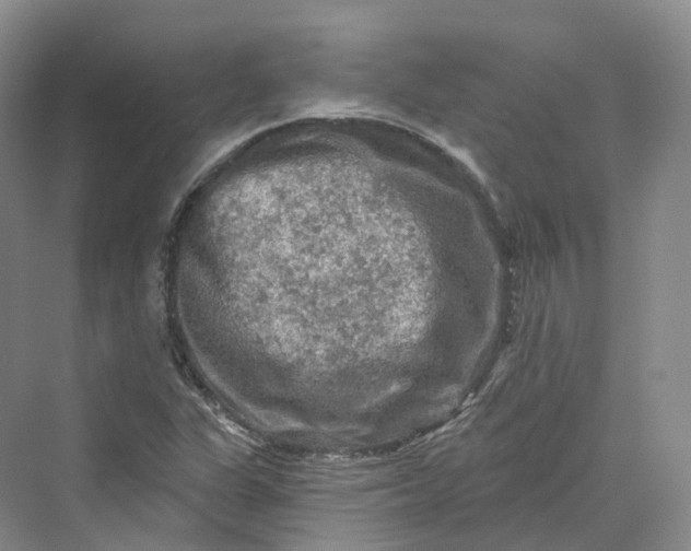 X0000069791311200606021403