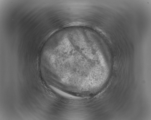 X0000069791313200606021403