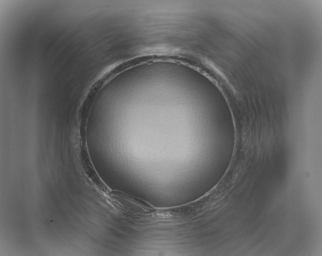 X0000069791315200606021403