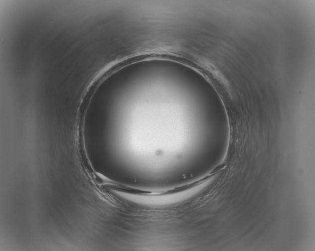 X0000069791316200606021403