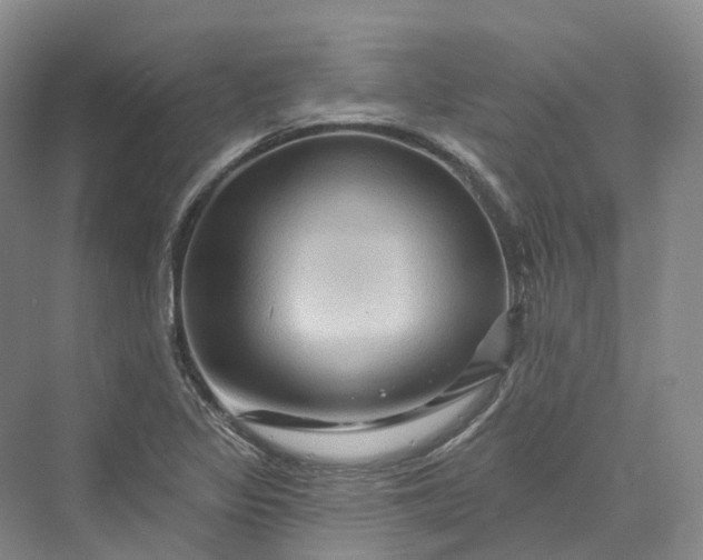 X0000069791317200606021403