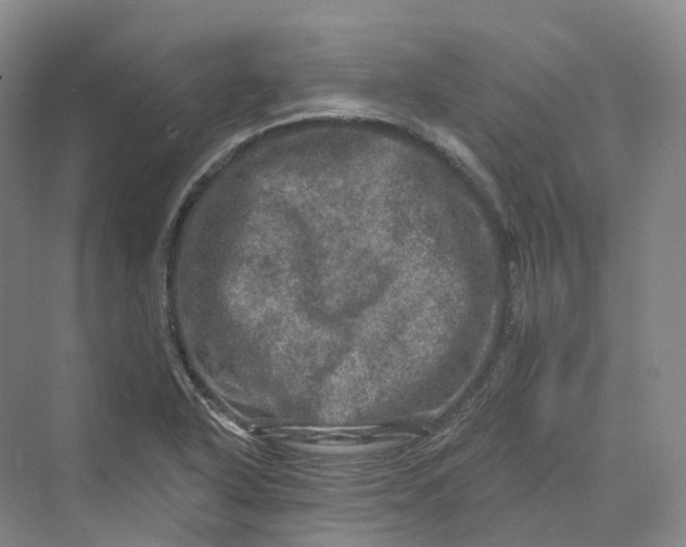 X0000069791318200606021403