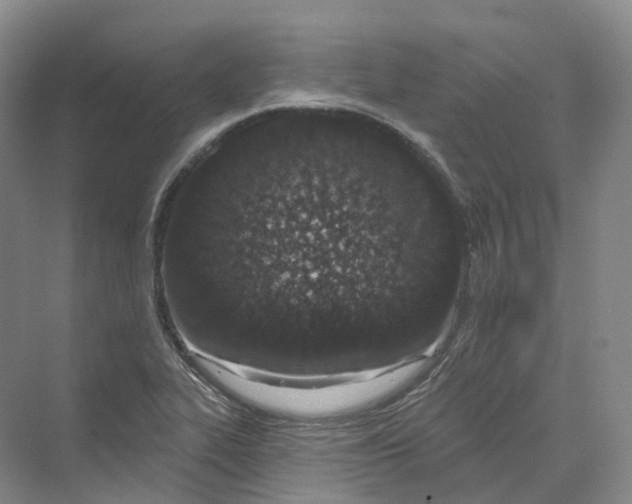 X0000069791319200606021403