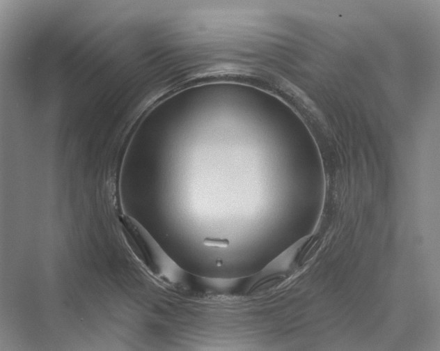 X0000069791321200606021403