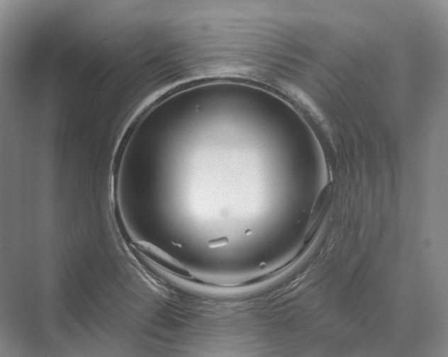 X0000069791324200606021403