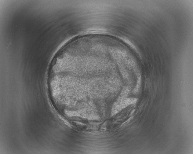 X0000069791325200606021403