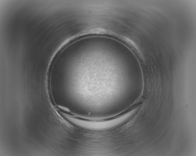 X0000069791326200606021403