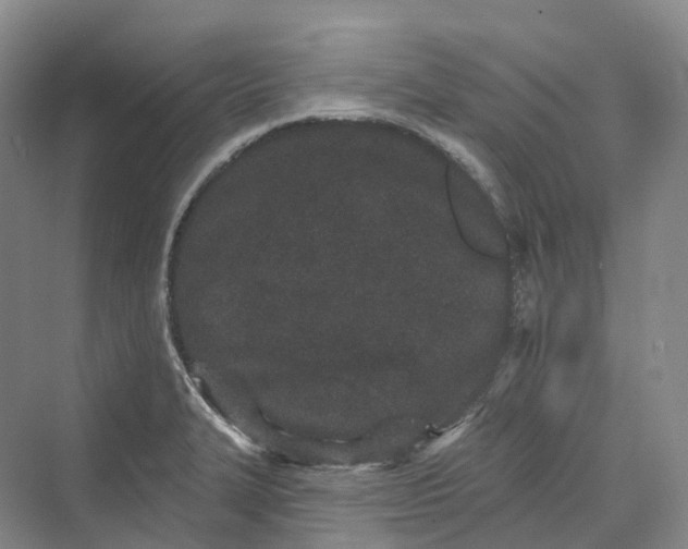 X0000069791327200606021403