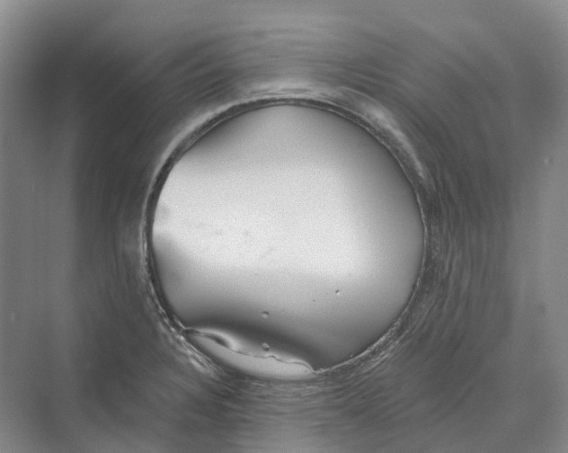 X0000069791328200606021403