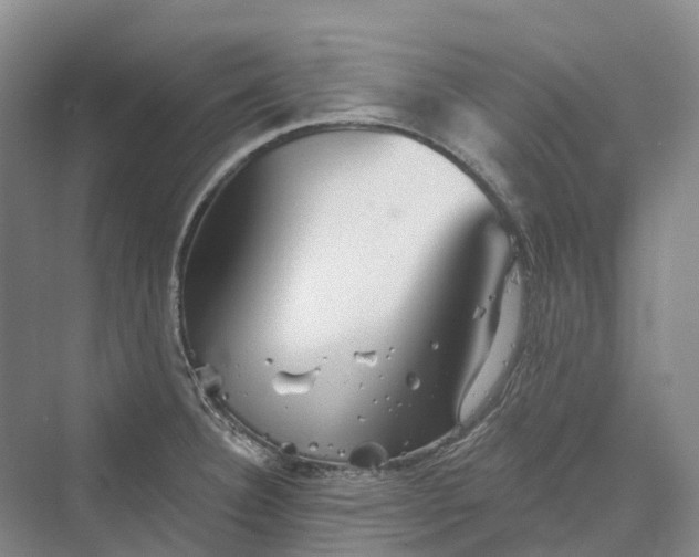 X0000069791332200606021403