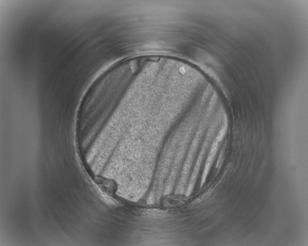 X0000069791333200606021403