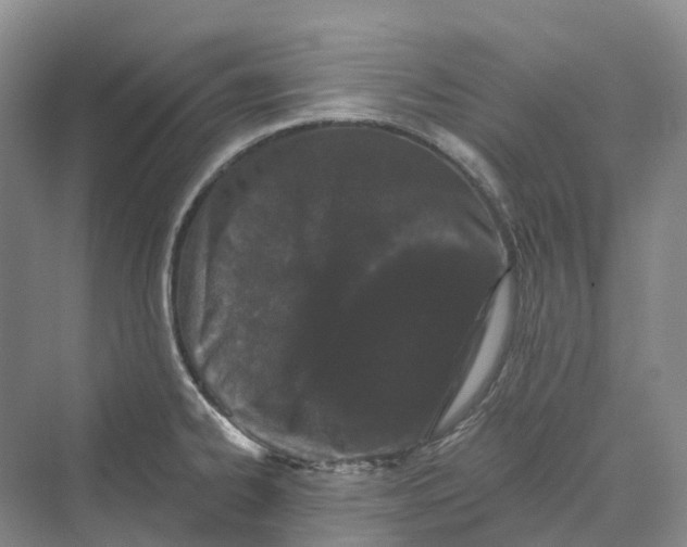 X0000069791334200606021403