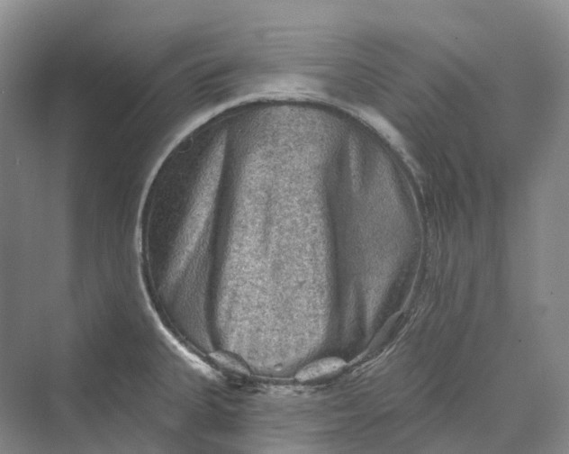 X0000069791335200606021403