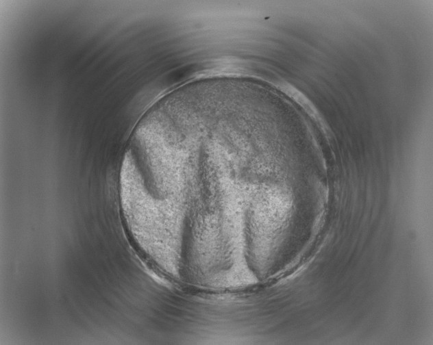 X0000069791337200606021403