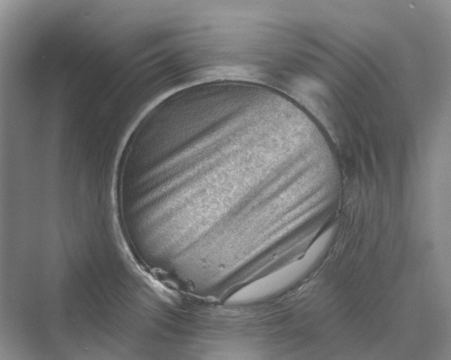 X0000069791339200606021403