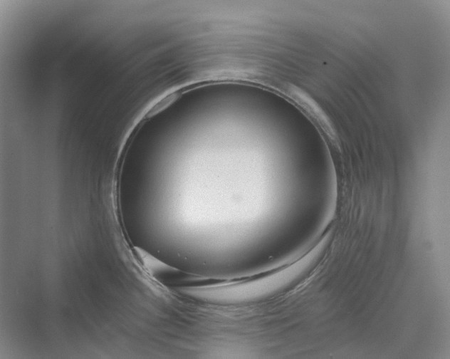 X0000069791340200606021403