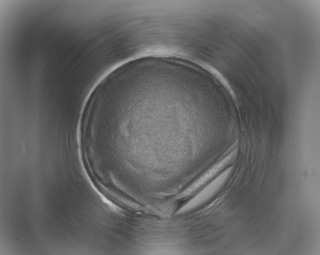 X0000069791343200606021403