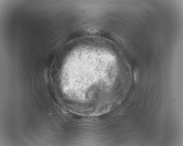 X0000069791347200606021402