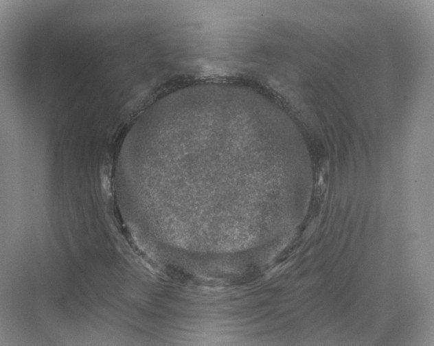 X0000069791348200606021402