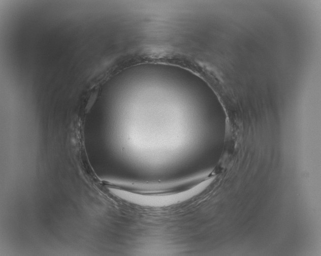 X0000069791349200606021402