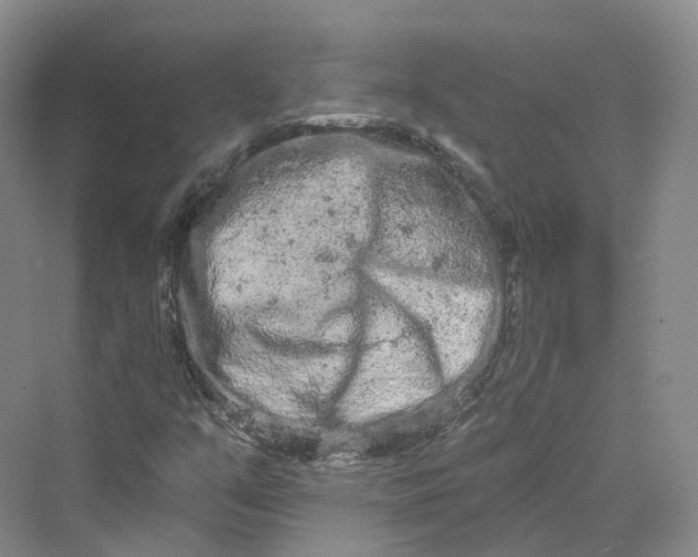 X0000069791351200606021402