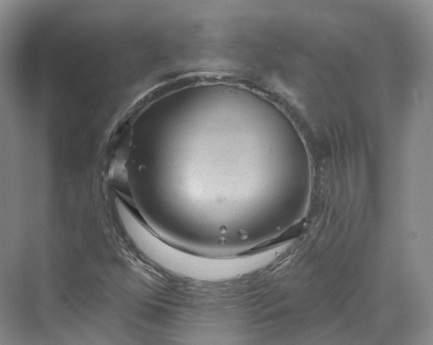 X0000069791352200606021402