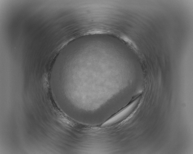 X0000069791353200606021402