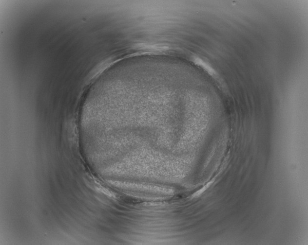 X0000069791354200606021402