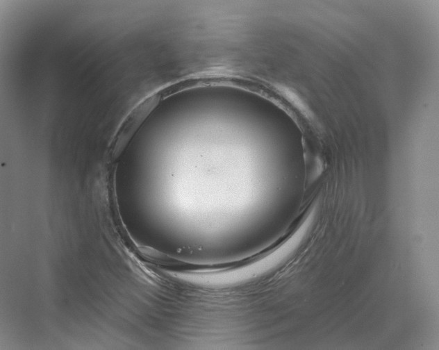 X0000069791356200606021402