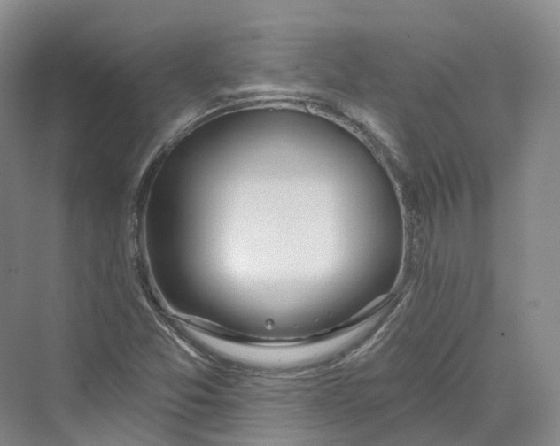 X0000069791357200606021402