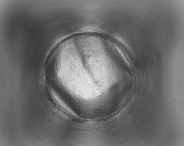 X0000069791358200606021402